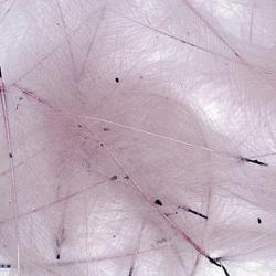 Cul de canard PETITJEAN 1gr n&deg;2 mauve
