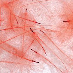 Cul de canard PETITJEAN 1gr n&deg;3 rose rouge