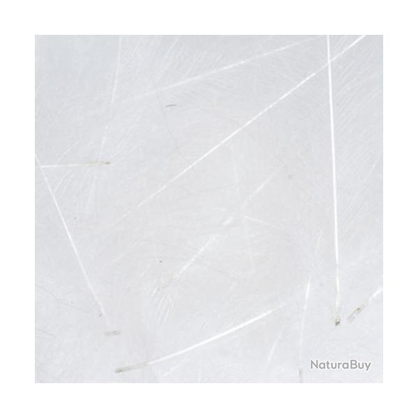 Cul de canard PETITJEAN 1gr n�5 blanc