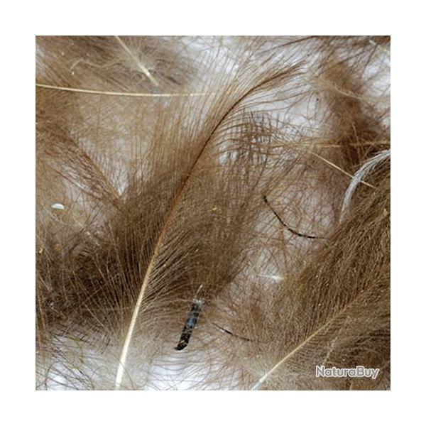 Cul de canard PETITJEAN 1gr n�7 beige