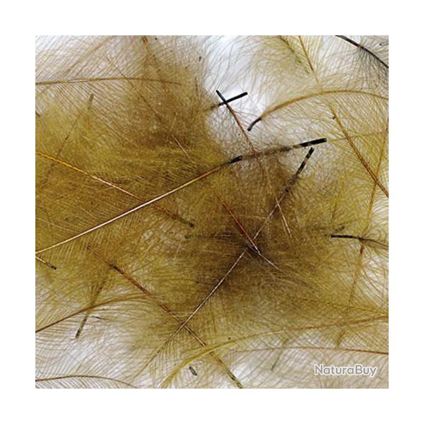 Cul de canard PETITJEAN 1gr n�8 olive