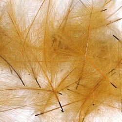 Cul de canard PETITJEAN 1gr n&deg;9 vieux jaune