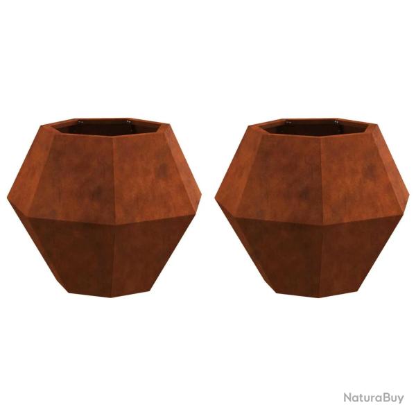 Lot de 2 jardini�res rectangulaires style rustique ext�rieur 50 x 50 x 40 cm en acier rouill� 02_00