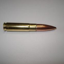 une cartouche de 300 whisper pour collection ogive pointe creuse