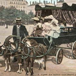 Carte Postale Ancienne - Lyon, La voiture aux ch&egrave;vres, place Bellecour -N&deg;7613