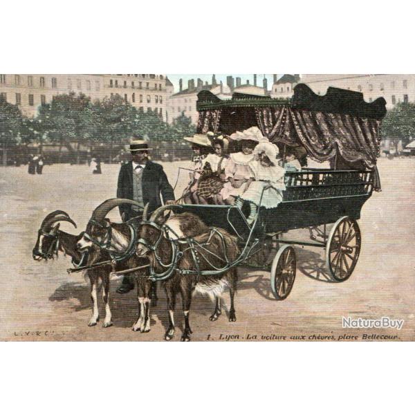 Carte Postale Ancienne - Lyon, La voiture aux ch�vres, place Bellecour -N�7613