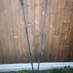 Canne de pirsh blaser