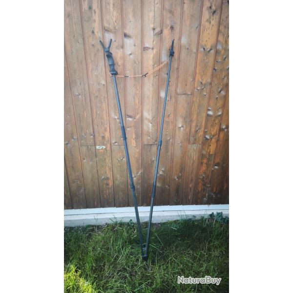 Canne de pirsh blaser