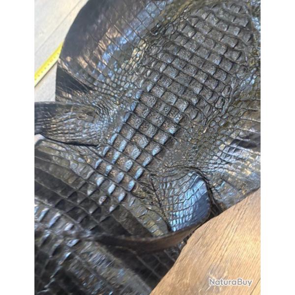 Peau naturelle aligator