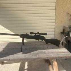 carabine a air gamo