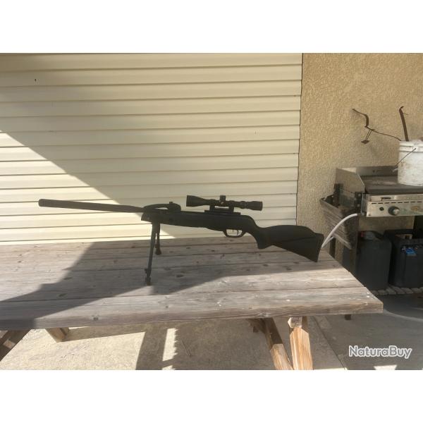 carabine a air gamo