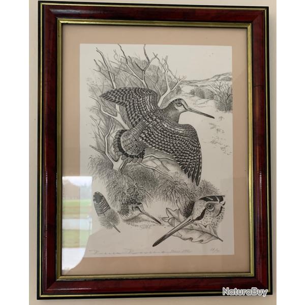 Lithographie B�casse sign�e Pierre Roussia