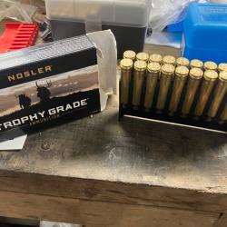 60 &eacute;tuis Nosler 300 wIn Mag