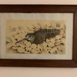 Lithographie Pierre Roussia B&eacute;casse