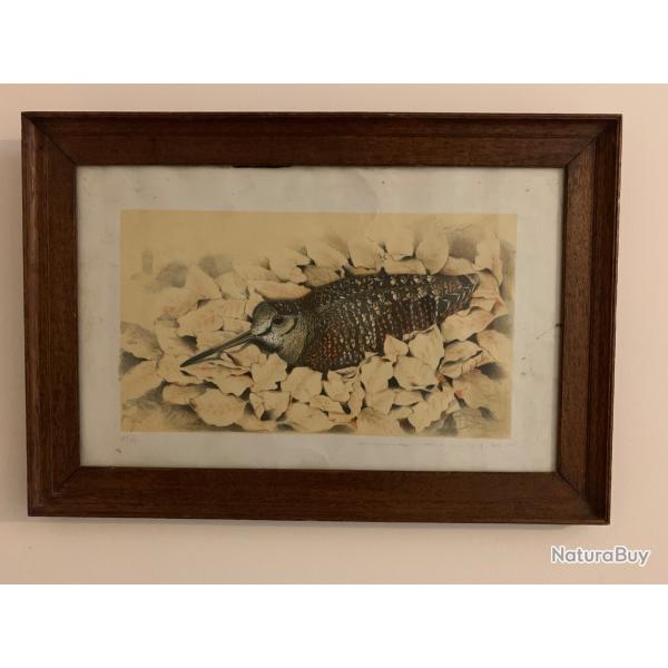 Lithographie Pierre Roussia B�casse