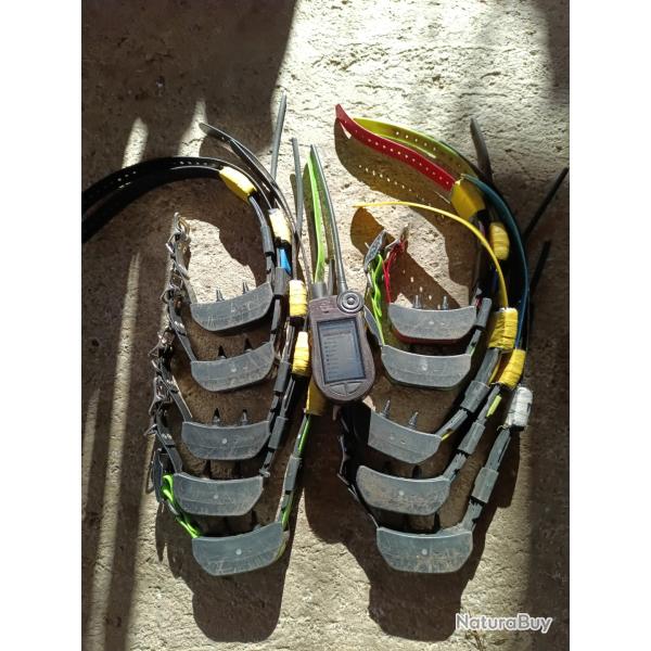 Collier rep�rage+dressage sportdog tek2