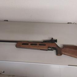 Carabine diana 75 8 joules