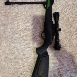 Carabine &agrave; plomb gamo