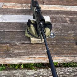 Carabine &agrave; plomb stoeger rx5 tac + lunette solognac 3-9*40