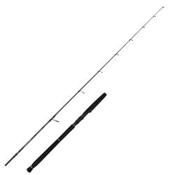 Canne Spinning Savage Gear Defiance SG2 Jigging 1+1 Max 250g 127 180 211