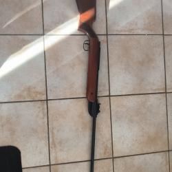 Carabine &agrave; plomb