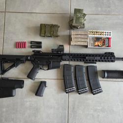 TROY P.A.R .300 BLK + HOLOSUN HS510C-GR + PACK, CAT&Eacute;GORIE C