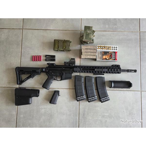 TROY P.A.R .300 BLK + HOLOSUN HS510C-GR + PACK, CAT�GORIE C