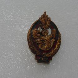 INSIGNE DU 5 &deg; REGIMENT ETRANGER  INFANTERIE  ---D.O.M ----DIEN  BIEN  PHU -----------