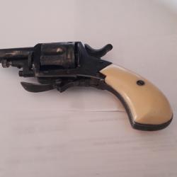 Petit  bulldog en calibre 320 grav&eacute;