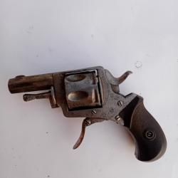 Bulldog en calibre 7mm canon octogonal