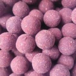 pack session carpe 15kg de bouillettes en 20mm