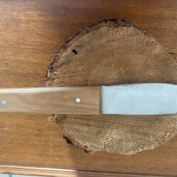 COUTEAU  A COQUILLES  ST JACQUES  (2026   N   6