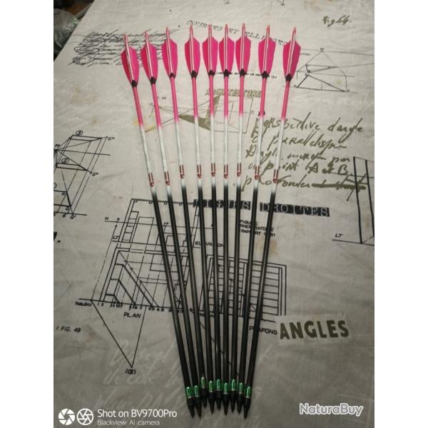 Fleches de tir completes