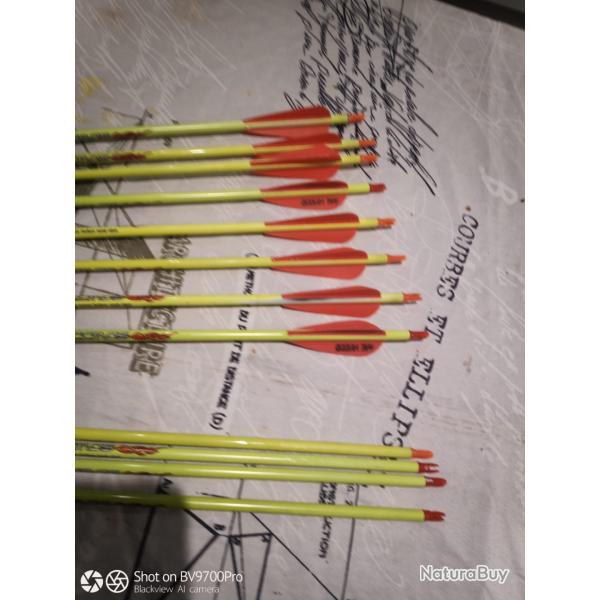 Fleches  de tir ou chasse