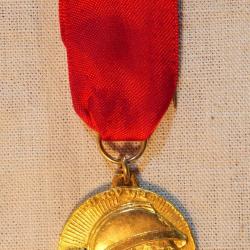 M&eacute;daille dor&eacute;e 14-18 Calvados 11 novembre 1968 &agrave; ruban rouge - ref BRA25MED001