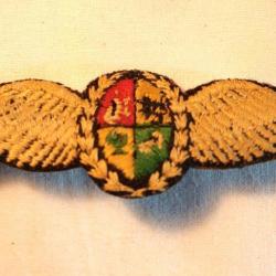RARE Brevet pilote BELGE aviateur Badge Aviator  SAAF South Africa Airforce Pilots wing SDC24KAM011