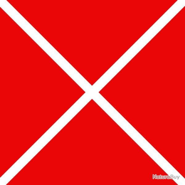 PACK 2 TALKIES-WALKIES BAOFENG T20 + CABLE DE PROGRAMMATION - BLANC - LIVRAISON GRATUITE