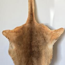 Peau / Fourrure de Kangourou / Wallaby