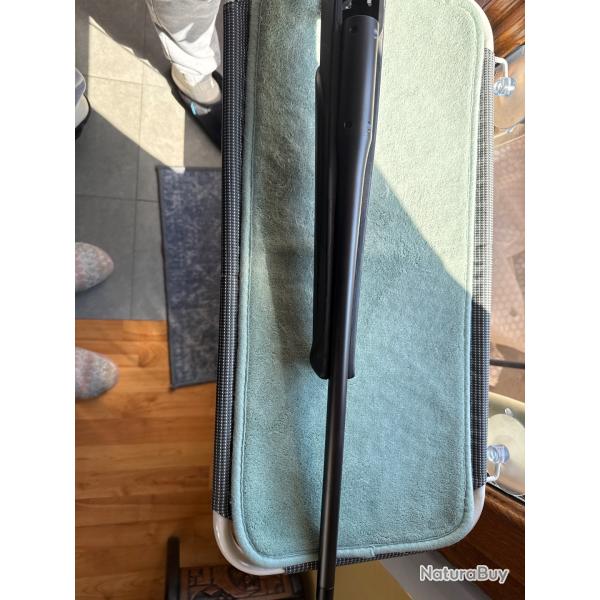 Canon Blaser R8 308 win