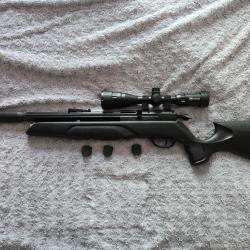 PCP GAMO Arrow en 4.5 espagnole + 3 chargeurs
