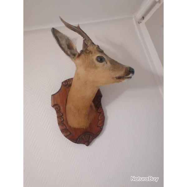 Je vend un troph�e