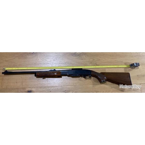 carabine semi-automatique � pompe gamemaster Remington