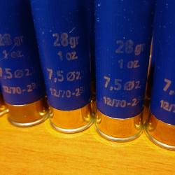 22 cartouches cal 12/70 28g plombs 7.5