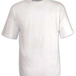 Tee shirt uni ras du cou 510110U012