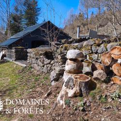 Parc de Chasse et Forestier dans le Cantal (15) d'environ 23 hectares DF-856-A