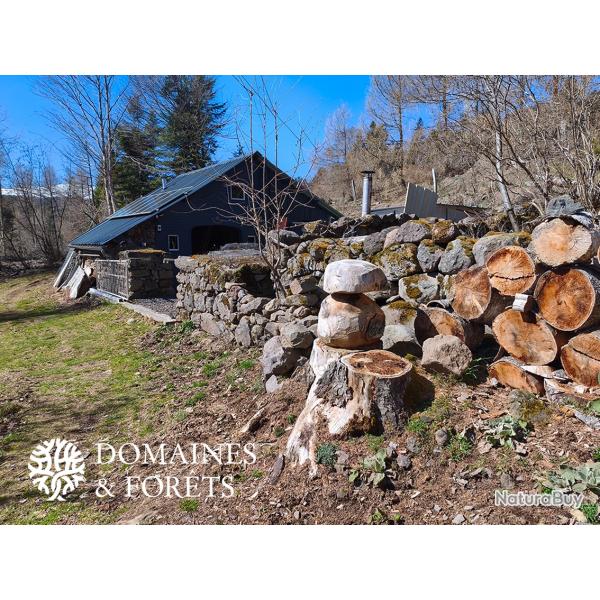 Parc de Chasse et Forestier dans le Cantal (15) d'environ 23 hectares DF-856-A