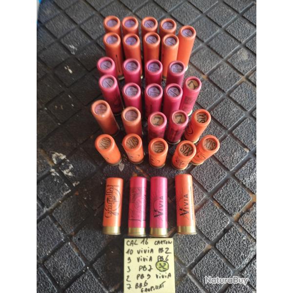 32 CARTOUCHES CARTON CAL 16  " VIVIA "