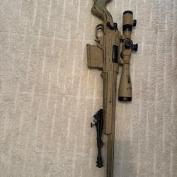 Ares Striker Aemoba - Paintjob