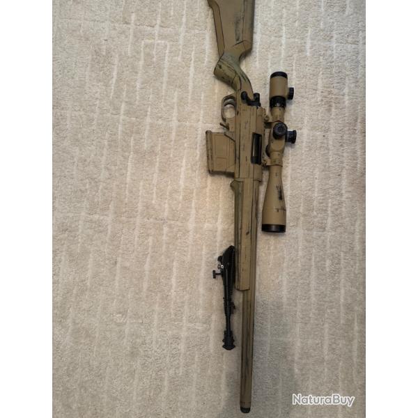 Ares Striker Aemoba - Paintjob