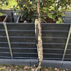 Vends Fusil Semi-Automatique Browning Maxus 2 Camo Max5